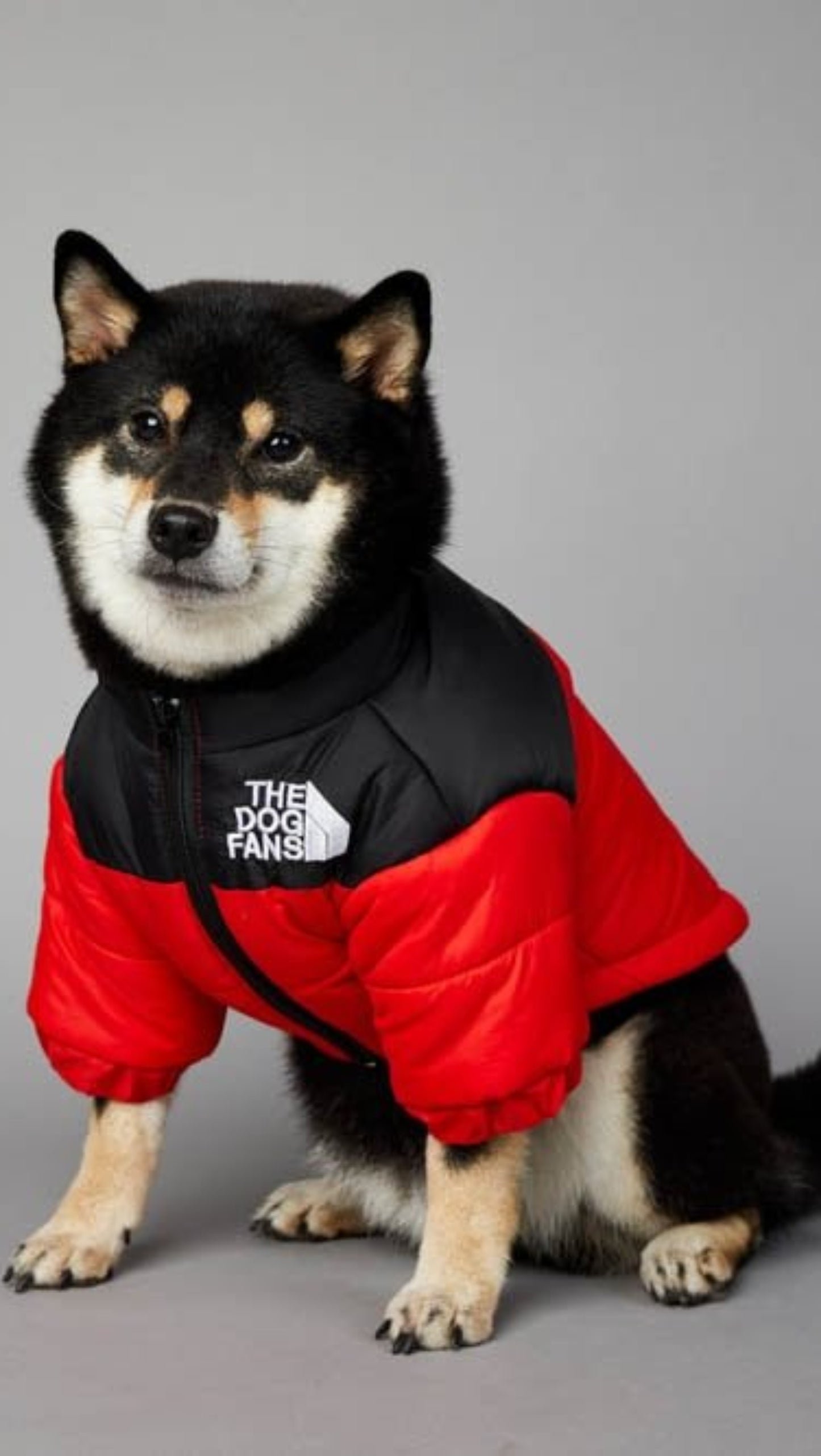 Warm Windproof Winter Dog Coat Jacket - Best Buddy Store