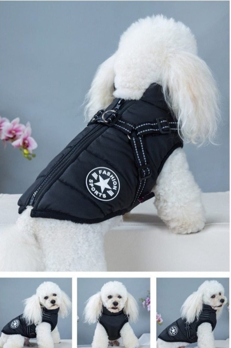 Waterproof Dog Warm Jacket with Built - in Harness - Best Buddy Store