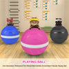 Waterproof Pet Anti - Bite Wicked Playing Ball - Best Buddy Store