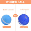Waterproof Pet Anti - Bite Wicked Playing Ball - Best Buddy Store