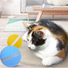 Waterproof Pet Anti - Bite Wicked Playing Ball - Best Buddy Store