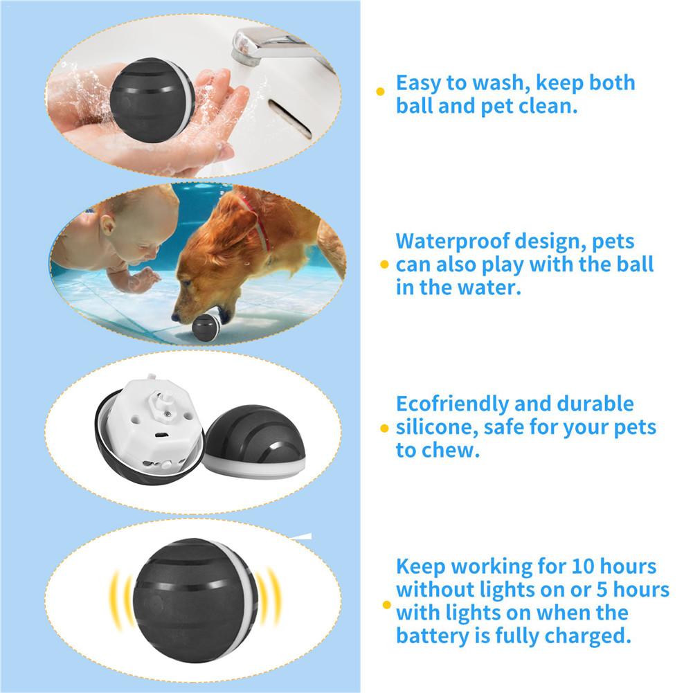 Waterproof Pet Anti - Bite Wicked Playing Ball - Best Buddy Store