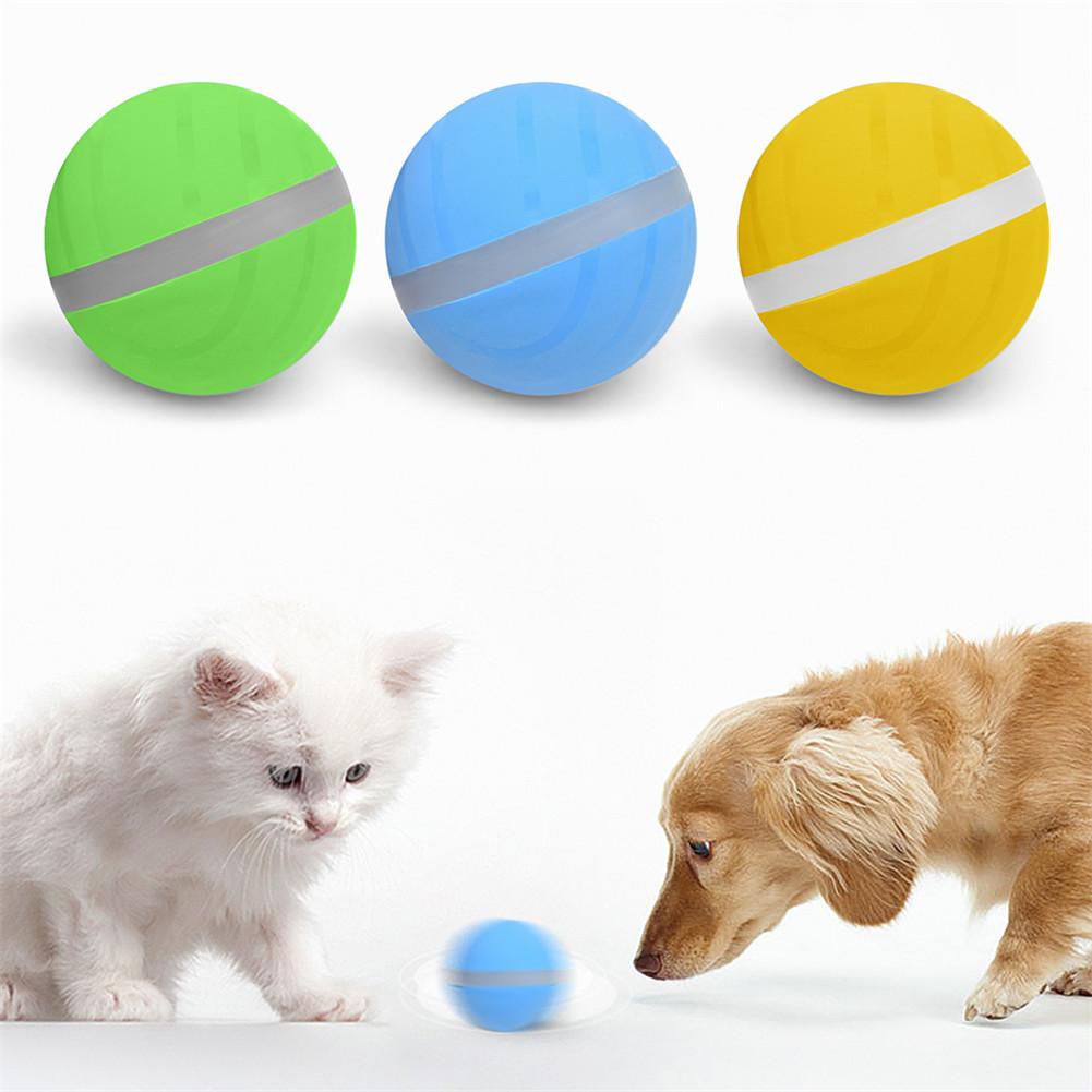 Waterproof Pet Anti - Bite Wicked Playing Ball - Best Buddy Store