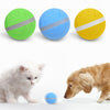 Waterproof Pet Anti - Bite Wicked Playing Ball - Best Buddy Store