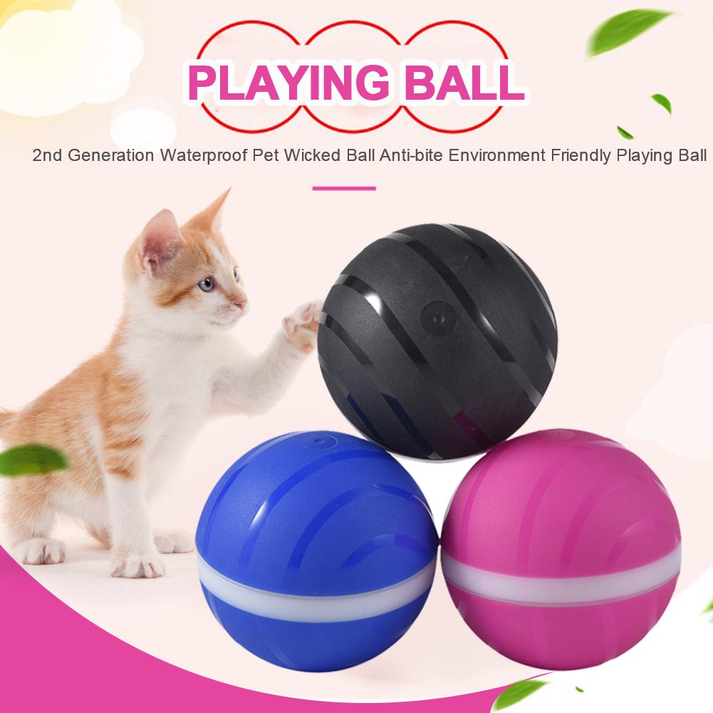 Waterproof Pet Anti - Bite Wicked Playing Ball - Best Buddy Store