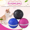 Waterproof Pet Anti - Bite Wicked Playing Ball - Best Buddy Store