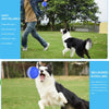 Waterproof Pet Anti - Bite Wicked Playing Ball - Best Buddy Store