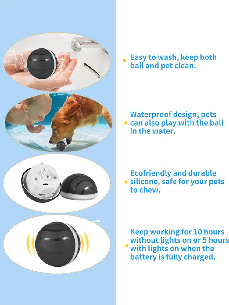Waterproof Pet Anti - Bite Wicked Playing Ball - Best Buddy Store