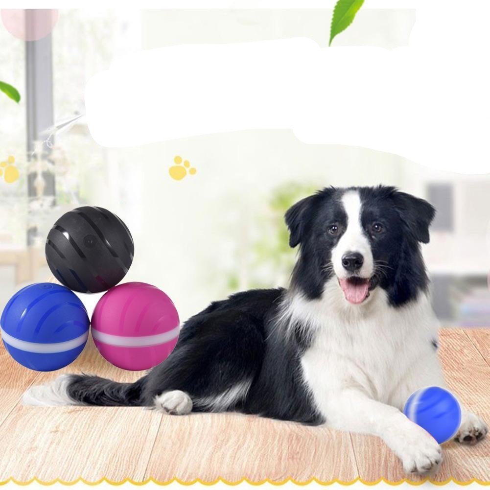 Waterproof Pet Anti - Bite Wicked Playing Ball - Best Buddy Store
