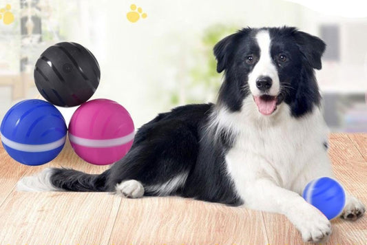 Waterproof Pet Anti - Bite Wicked Playing Ball - Best Buddy Store