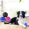 Waterproof Pet Anti - Bite Wicked Playing Ball - Best Buddy Store