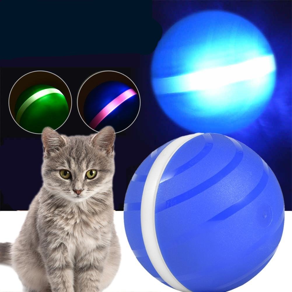 Waterproof Pet Anti - Bite Wicked Playing Ball - Best Buddy Store