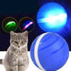 Waterproof Pet Anti - Bite Wicked Playing Ball - Best Buddy Store