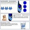 Waterproof Rechargeable Anti - Bark Remote Control Dog Training Collar - Best Buddy Store