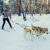 Waterproof Reflective Dog Harness for Sledding & Outdoor Adventures - Best Buddy Store