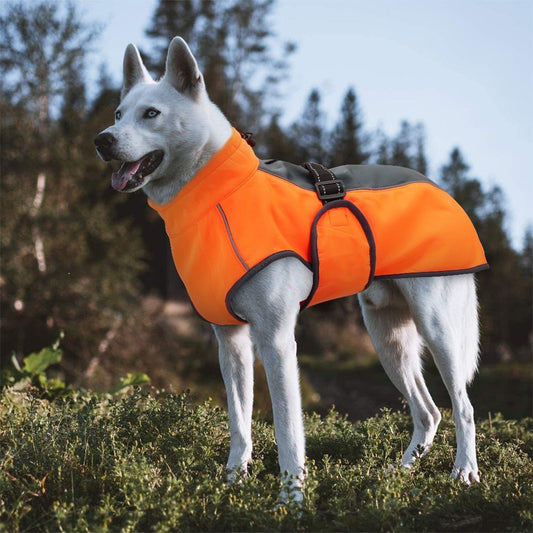 Waterproof Reflective Dog Vest Jacket - Best Buddy Store