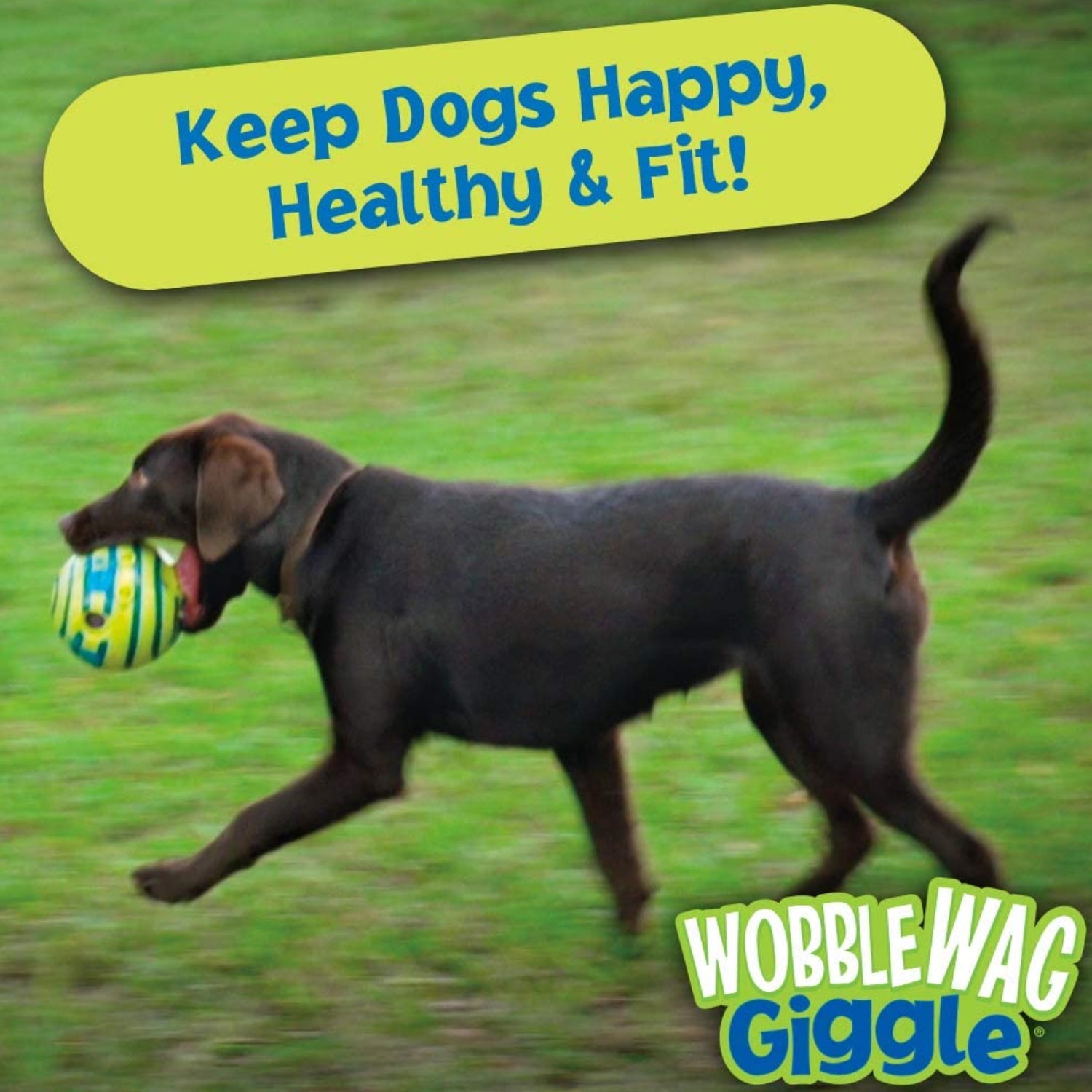 Wobble Giggle Ball - Interactive Dog Toy, Fun Giggle Sounds When Rolled or Shaken - Best Buddy Store
